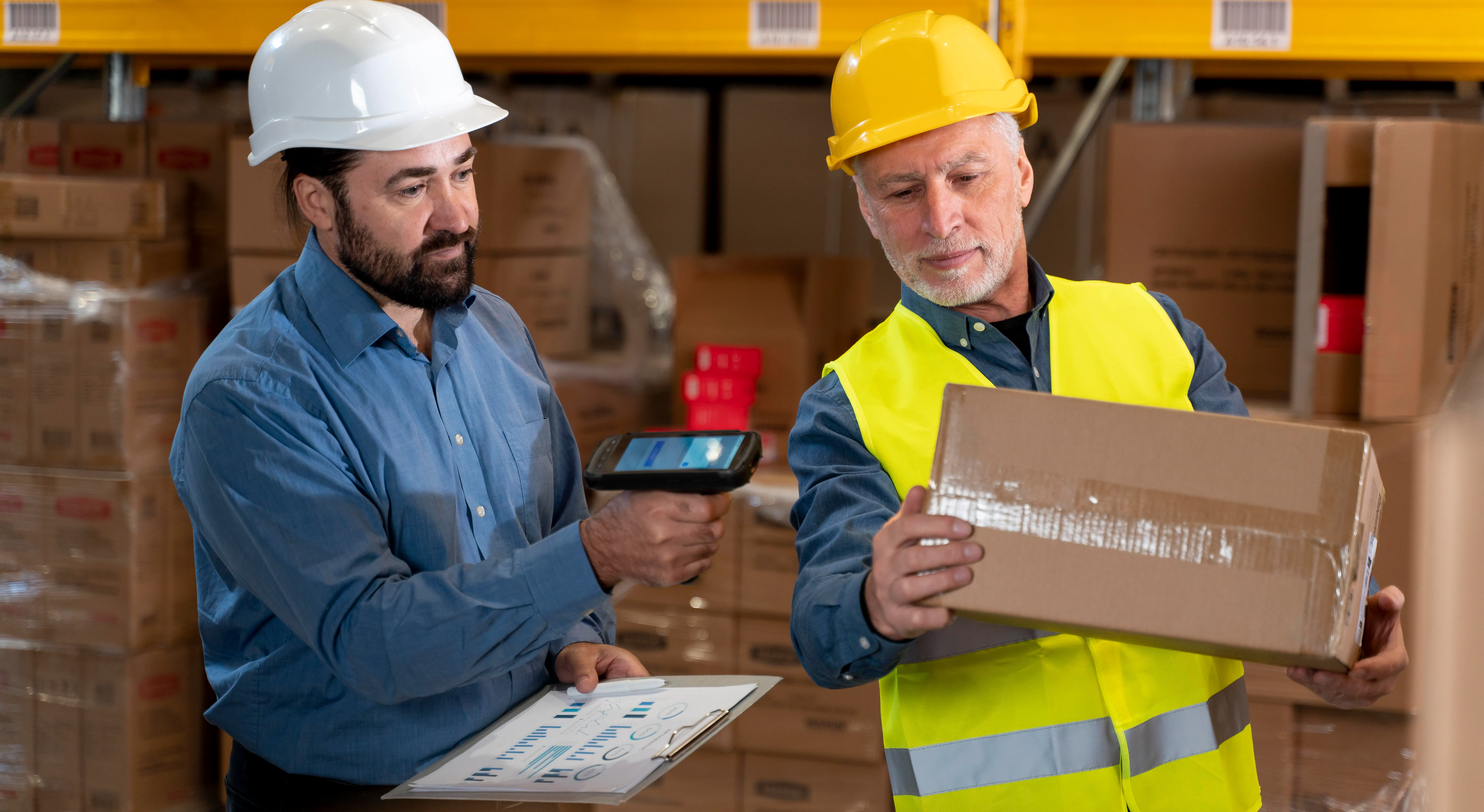 Cargo Inspection at Port