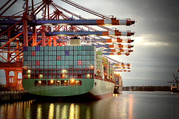 Cargo Survey
